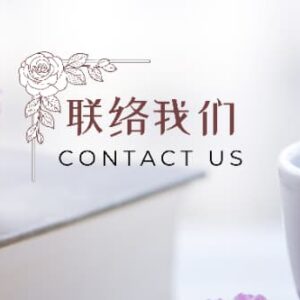 Desk Stand with Screen